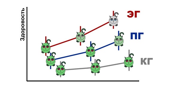 Статистика и котики