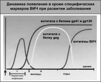 Имя ему СПИД. Четвертый всадник Апокалипсиса