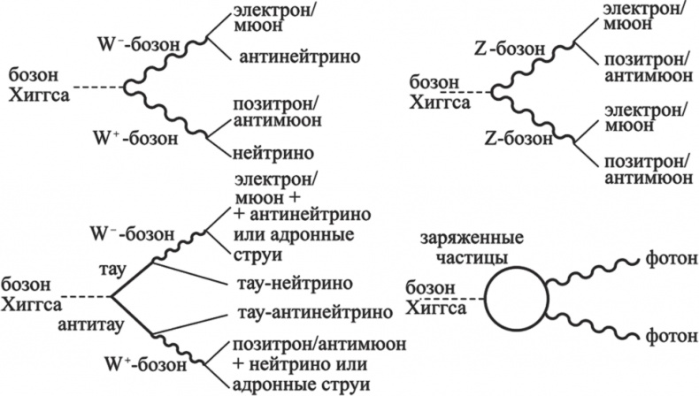 Частица на краю Вселенной. Как охота на бозон Хиггса ведет нас к границам нового мира