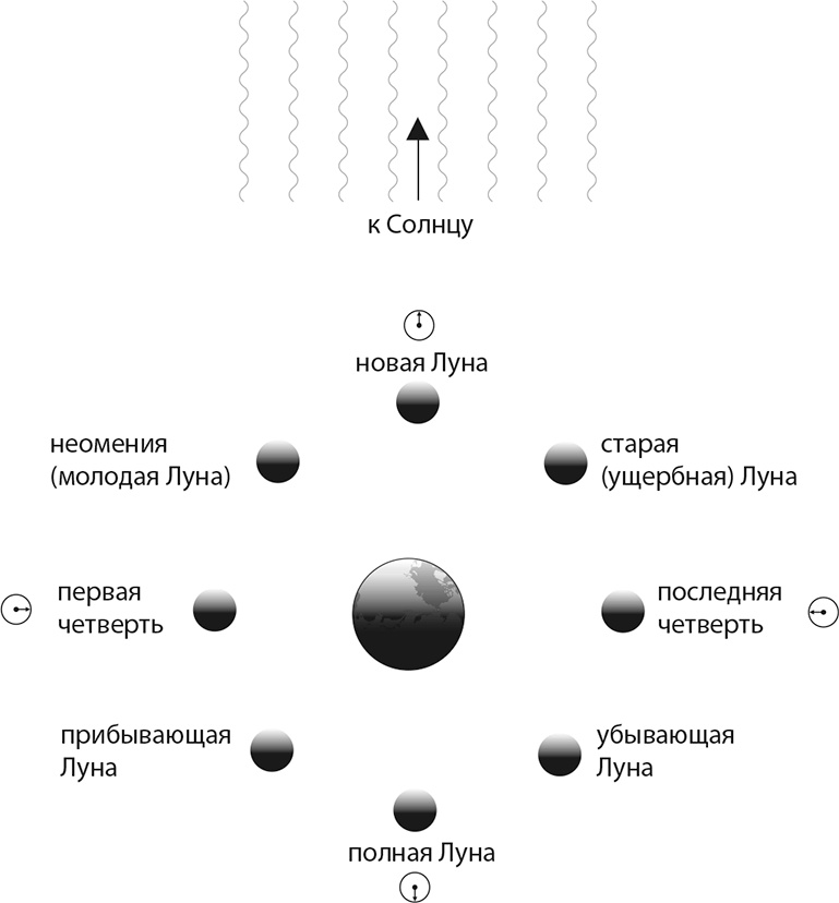 Квантовая вселенная. Как устроено то, что мы не можем увидеть