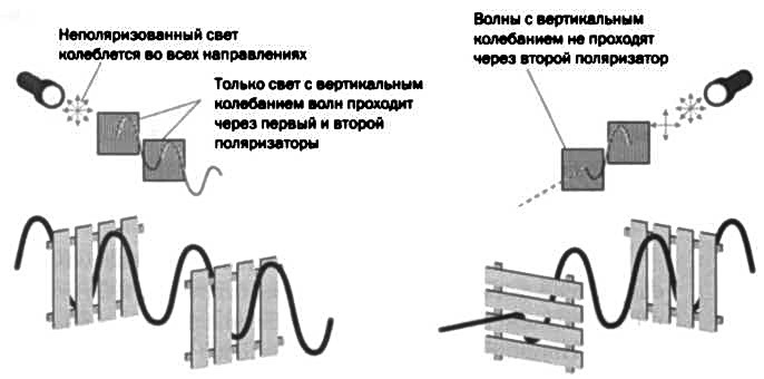 Максвелл. Электромагнитный синтез