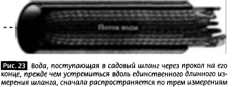 Закрученные пассажи. Проникая в тайны скрытых размерностей пространства