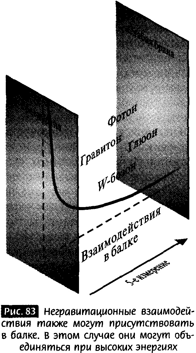 Закрученные пассажи. Проникая в тайны скрытых размерностей пространства