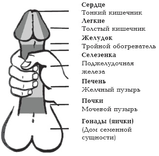 Секреты любви. Даосская практика для женщин и мужчин