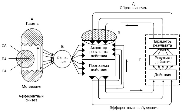 Психология воли