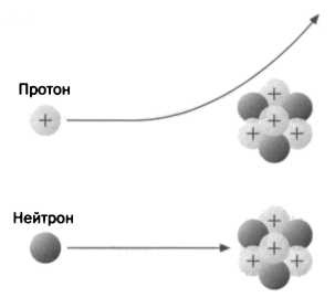 Лиза Мейтнер. Расщепление ядра