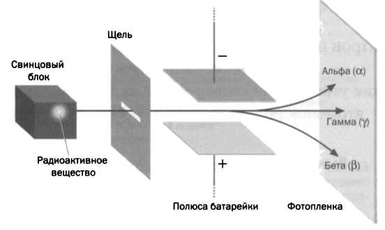 Лиза Мейтнер. Расщепление ядра