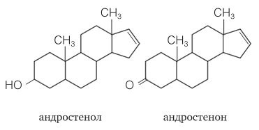 Удивительные истории о веществах самых разных. Тайны тех, что составляют землю, воду, воздух... и поэзию