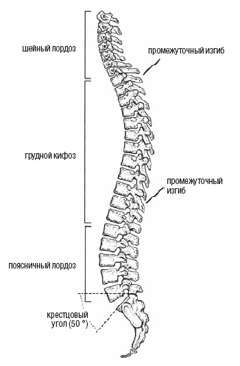 Настольная книга для тех, у кого болит спина