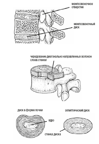 Настольная книга для тех, у кого болит спина