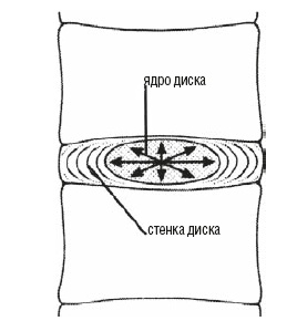 Настольная книга для тех, у кого болит спина