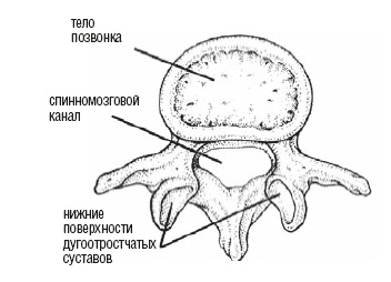 Настольная книга для тех, у кого болит спина