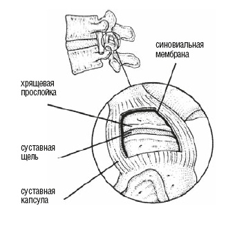 Настольная книга для тех, у кого болит спина