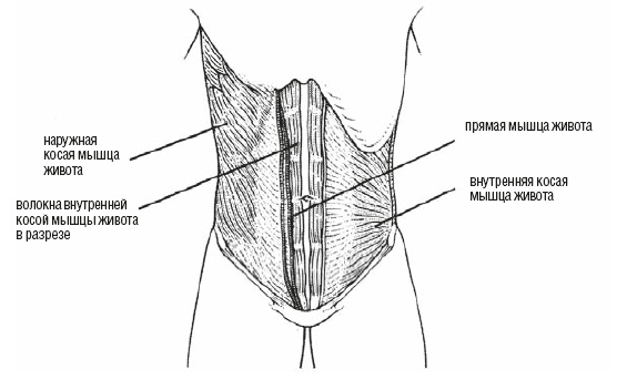 Настольная книга для тех, у кого болит спина