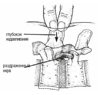 Настольная книга для тех, у кого болит спина