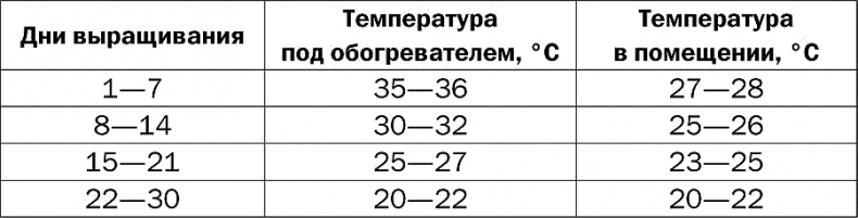 Разведение и выращивание индюков, перепелок и цесарок