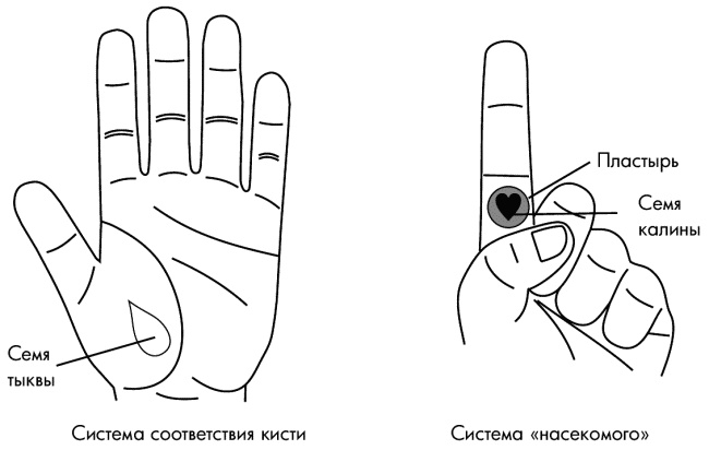 Су-Джок лечит. Мигрень, кашель, боль в спине, тяжесть в желудке