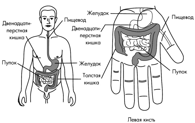 Су-Джок лечит. Мигрень, кашель, боль в спине, тяжесть в желудке