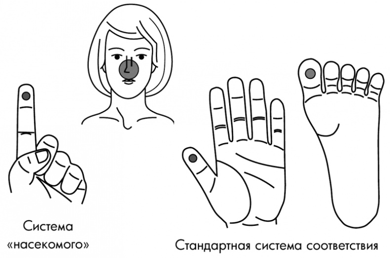 Су-Джок лечит. Мигрень, кашель, боль в спине, тяжесть в желудке