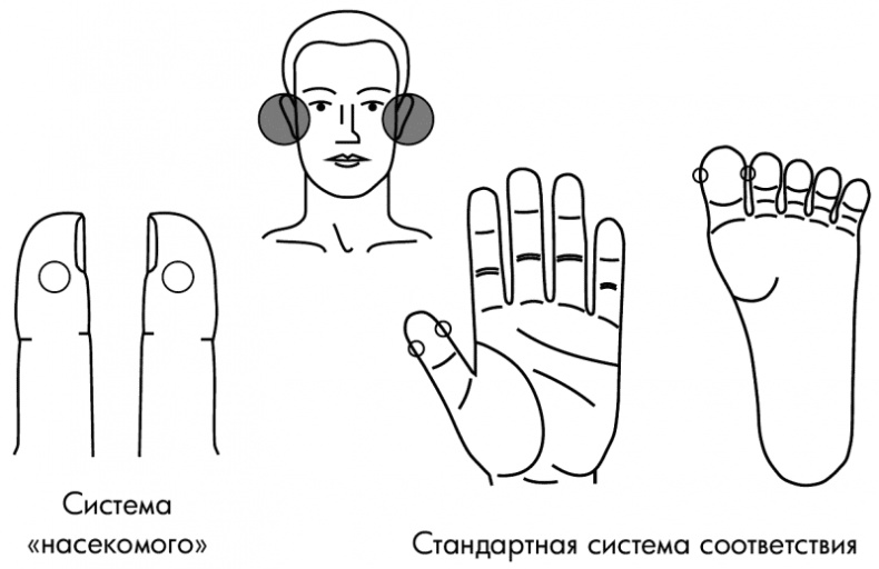 Су-Джок лечит. Мигрень, кашель, боль в спине, тяжесть в желудке