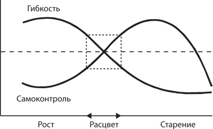 Управление жизненным циклом корпораций