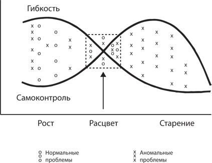 Управление жизненным циклом корпораций