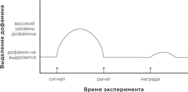 Биология добра и зла. Как наука объясняет наши поступки