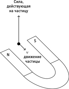 Почему мы существуем? Величайшая из когда-либо рассказанных историй