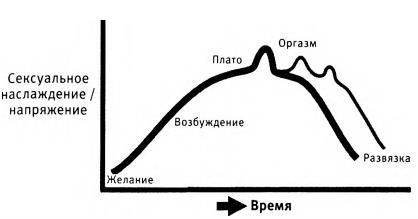 Любовь и секс. Как мы ими занимаемся. Прямой репортаж из научных лабораторий, изучающих человеческую сексуальность