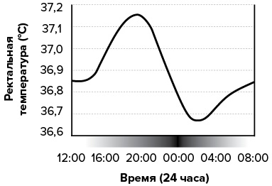 Зачем мы спим. Новая наука о сне и сновидениях