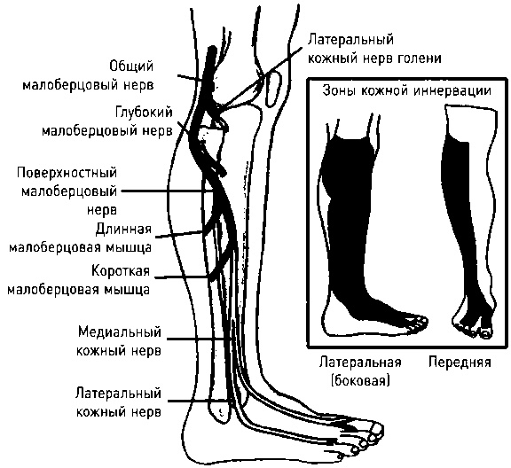 Осторожно, спорт! О вреде бега, фитнеса и других физических нагрузок