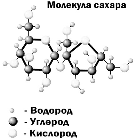 Эволюция на пальцах. Для детей и родителей, которые хотят объяснять детям