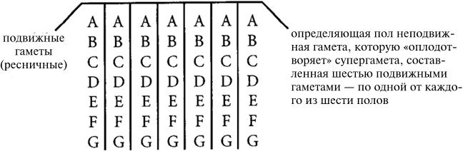 Непристойные предложения