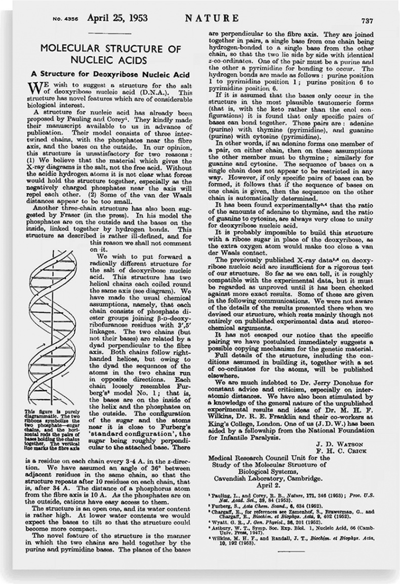 ДНК. История генетической революции