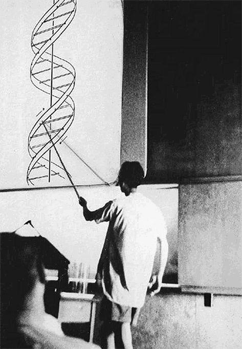 ДНК. История генетической революции