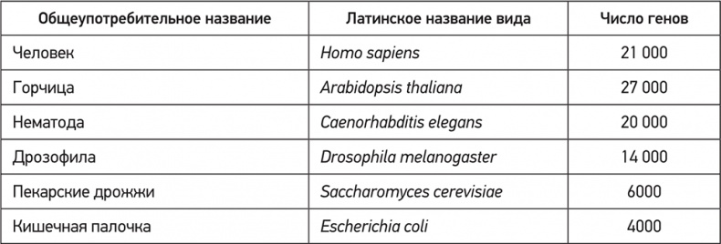 ДНК. История генетической революции