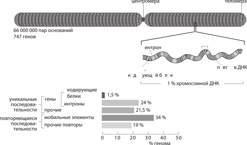 ДНК. История генетической революции