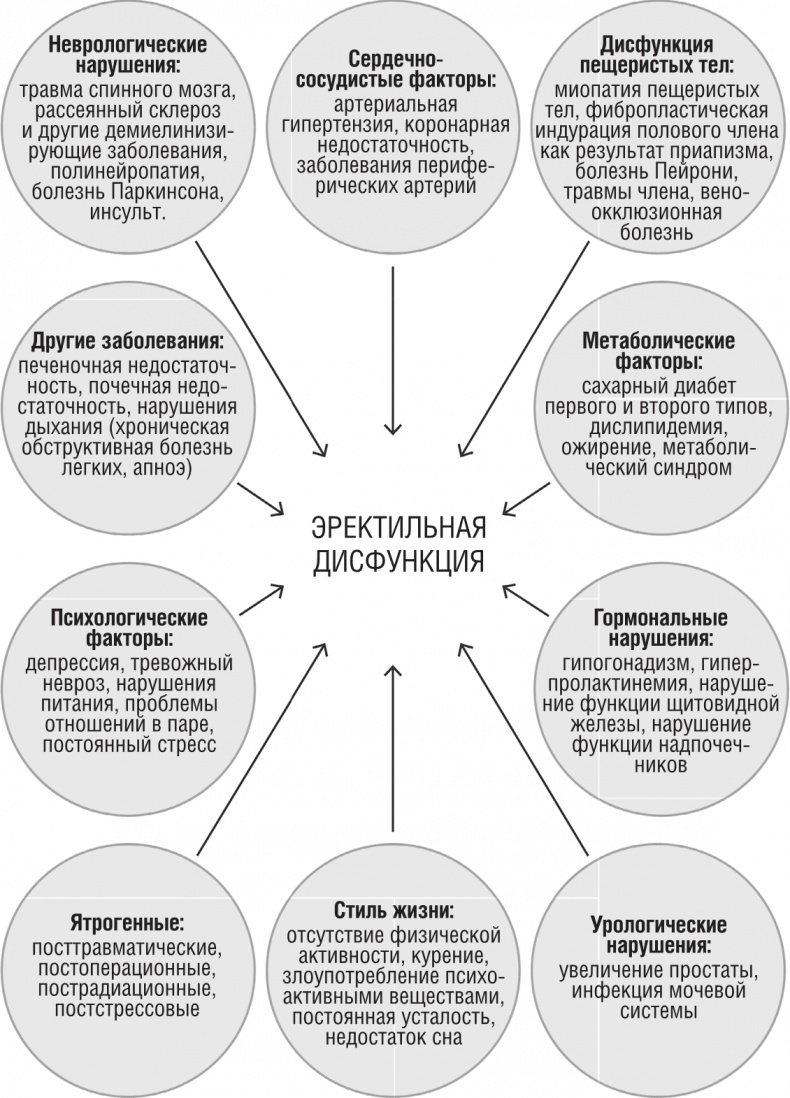 ОН. Интимный разговор про тот самый орган