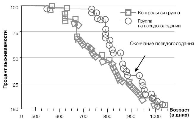 Лонгевита. Революционная диета долголетия