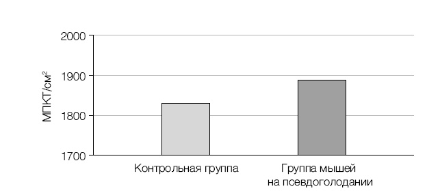 Лонгевита. Революционная диета долголетия