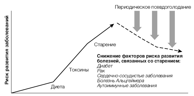 Лонгевита. Революционная диета долголетия