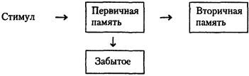 Когнитивная психология