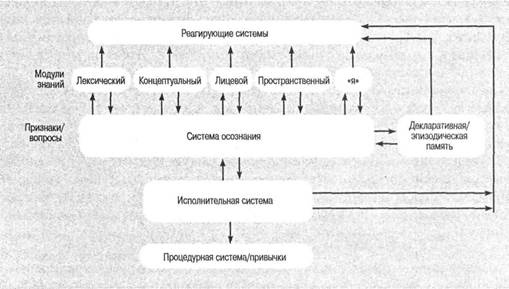 Когнитивная психология