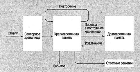 Когнитивная психология