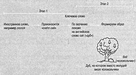 Когнитивная психология