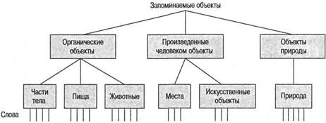 Когнитивная психология