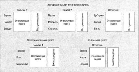 Когнитивная психология