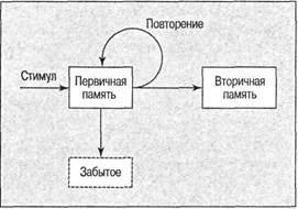 Когнитивная психология