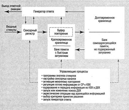 Когнитивная психология