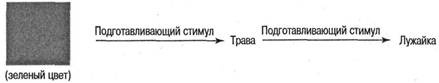 Когнитивная психология